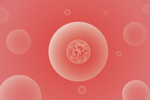 CNV,拷贝数变化遗传病、基因病、罕见病基因解码，基因检测，基因筛查与分子诊断