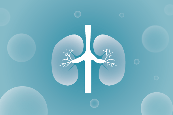 泌尿系统，肾脏，膀胱，尿病，肾不好遗传病、基因病、罕见病的基因解码，基因检测，基因筛查与分子诊断