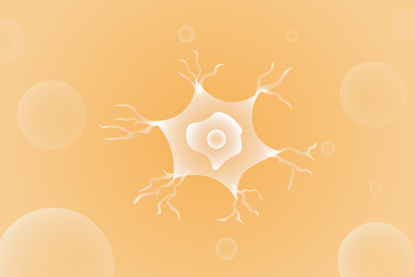 神经科肌肉系统及运动神经系统遗传病、基因病、罕见病的基因解码，基因检测，基因筛查与分子诊断
