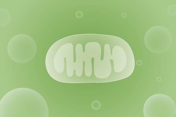 线粒体病、线粒体疾病遗传病、基因病、罕见病基因解码，基因检测，基因筛查与分子诊断