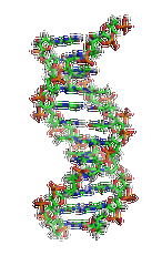 【巅峰国际基因检测】眼皮肤白化病4型基因解码、<a href=http://www.neuroaof.com/tk/jiema/cexujishu/2021/31933.html>基因检测</a>的报告有人解读吗？