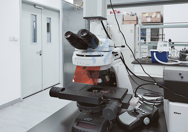 <font color='red'>脱发</font>基因解码：让头发生长的基因