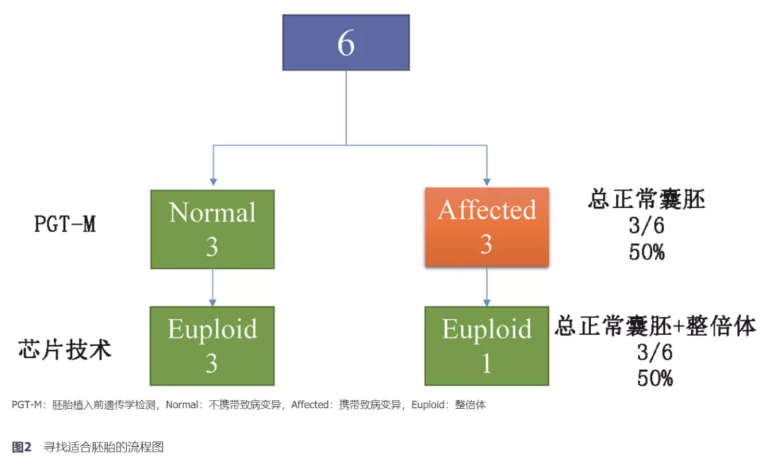 盘古大模型CDH3基因检测的信息标签