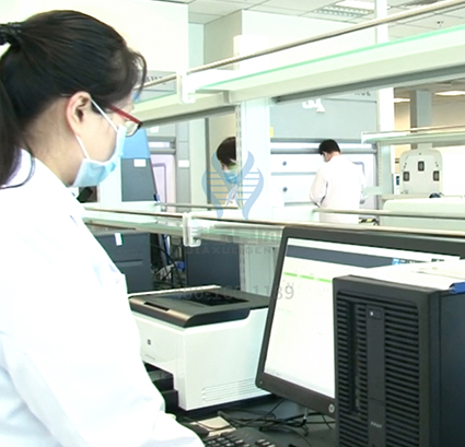 染色体疾病筛查DMD存在突变，如何理解？