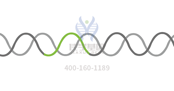 【巅峰国际基因检测】多发性<font color='red'>骨髓</font>瘤（Multiple Myeloma）靶向药物使用前的基因检测